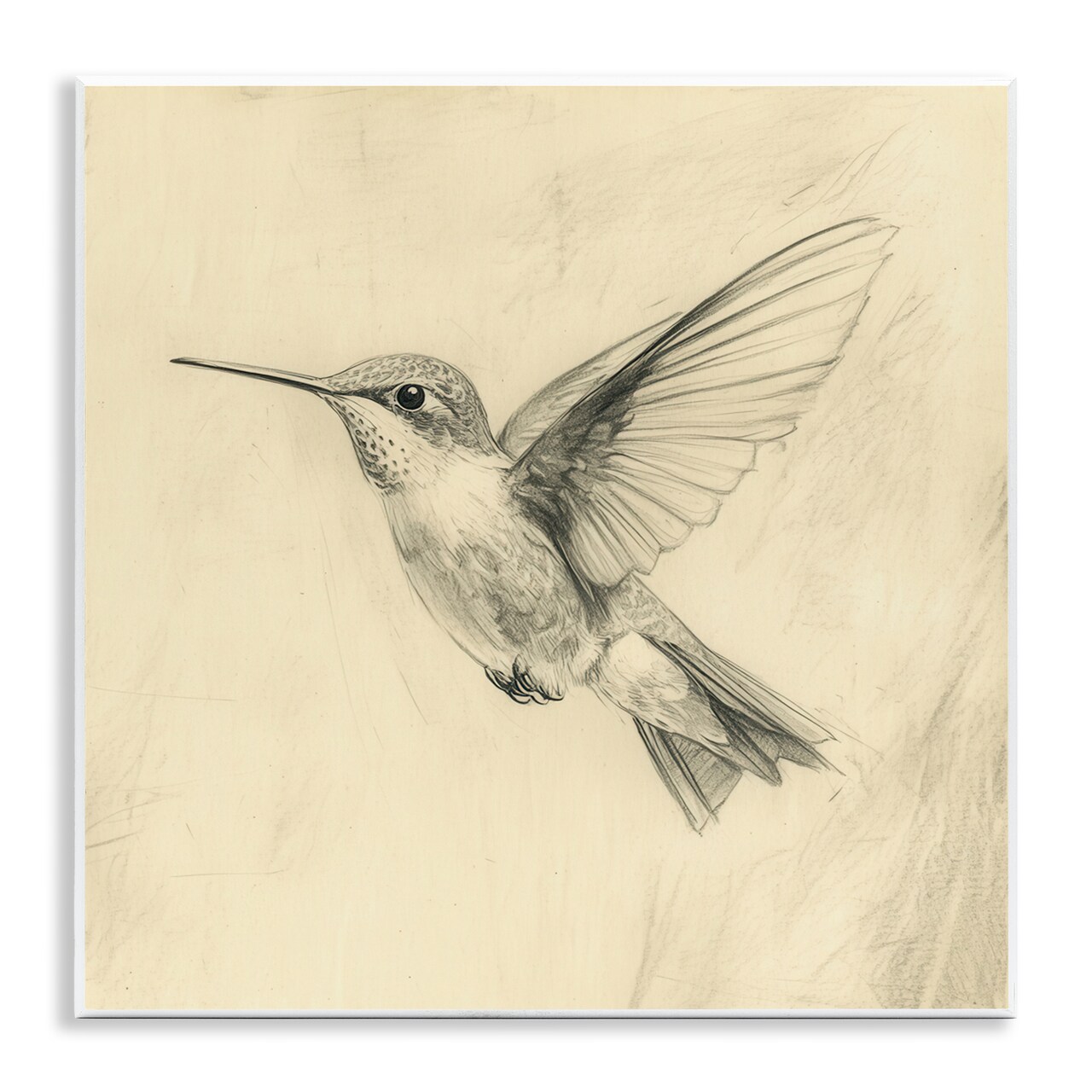 Stupell Industries Vintage Hummingbird Sketch Wall Plaque, design by Petal Prints Design